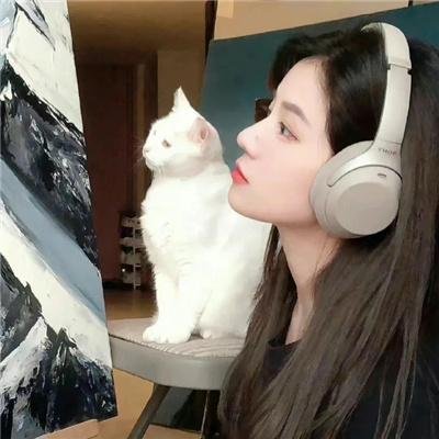 风继续吹